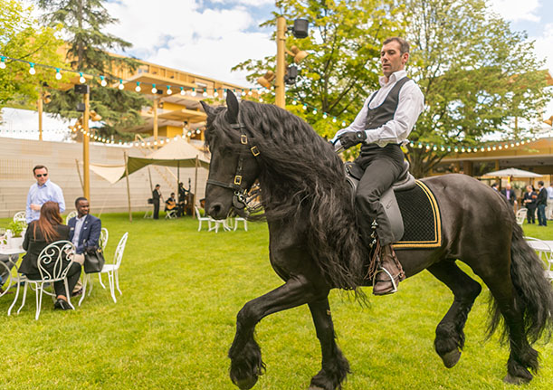 &Bull; Parislongchamp,Embraer,Potel Chabot,Pique-Nique Parislongchamp &Bull; Paris Society Events Paris society events • cheval frisson 2 • parislongchamp,embraer,potel chabot,pique-nique parislongchamp