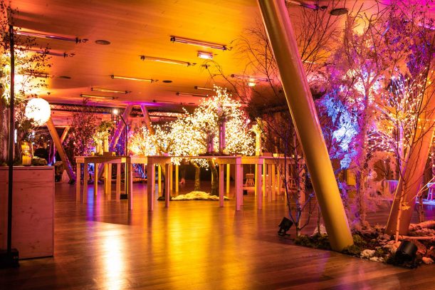 &Bull; Paris Society Events Paris society events • nordicwood c geoffrey hubbel 2019 11 05 18 34 29 geo 7796 e1574073916848 2 •