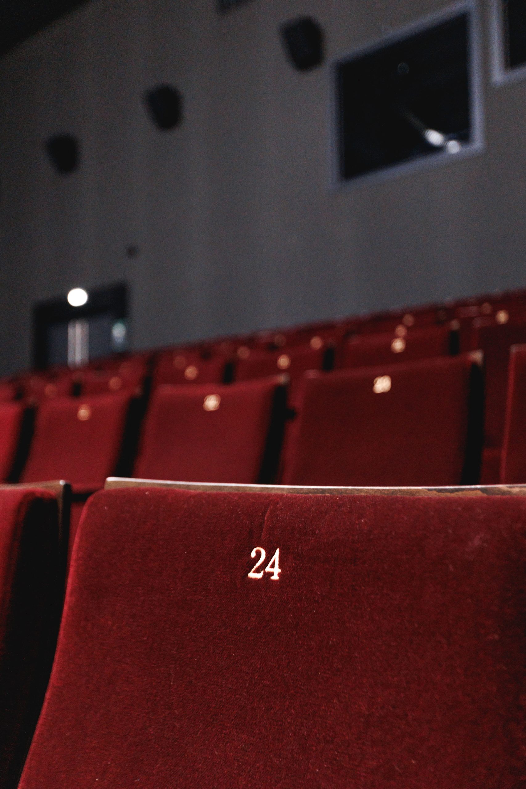 salle de cinéma avec ses 430 fauteuils rouges numérotés en chiffres d’or